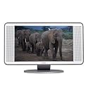 Philips 26PF9966 26" Widescreen HD-Ready Flat-Panel LCD TV